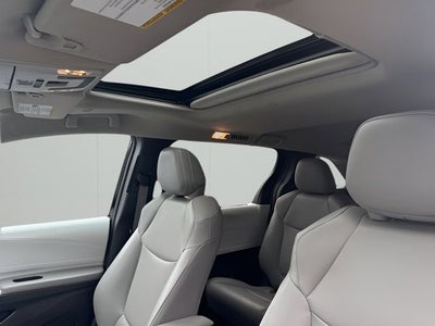 2025 Toyota Sienna XLE 7 Passenger