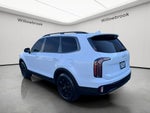 2024 Kia Telluride SX-Prestige X-Pro
