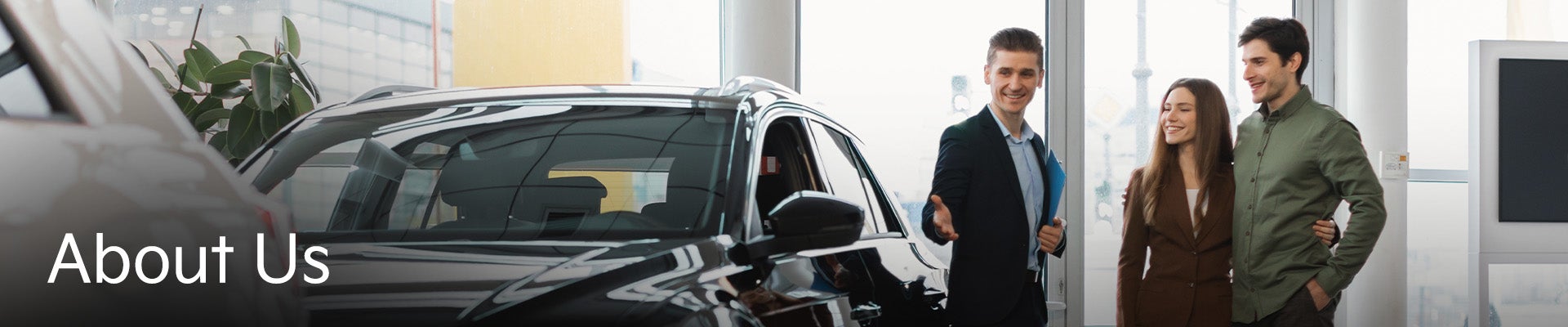 Man showing Car to Customers